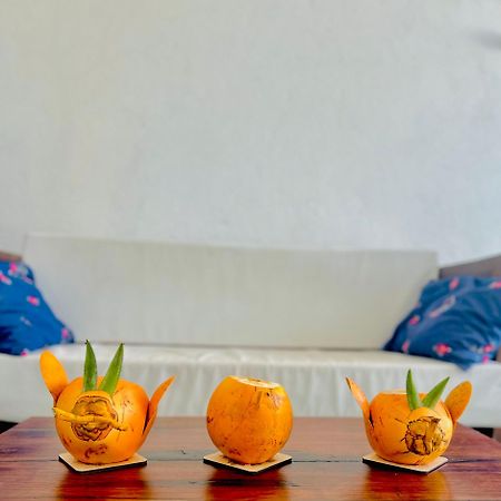 Luxury My Villa Bentota 200M Bentota Beach エクステリア 写真