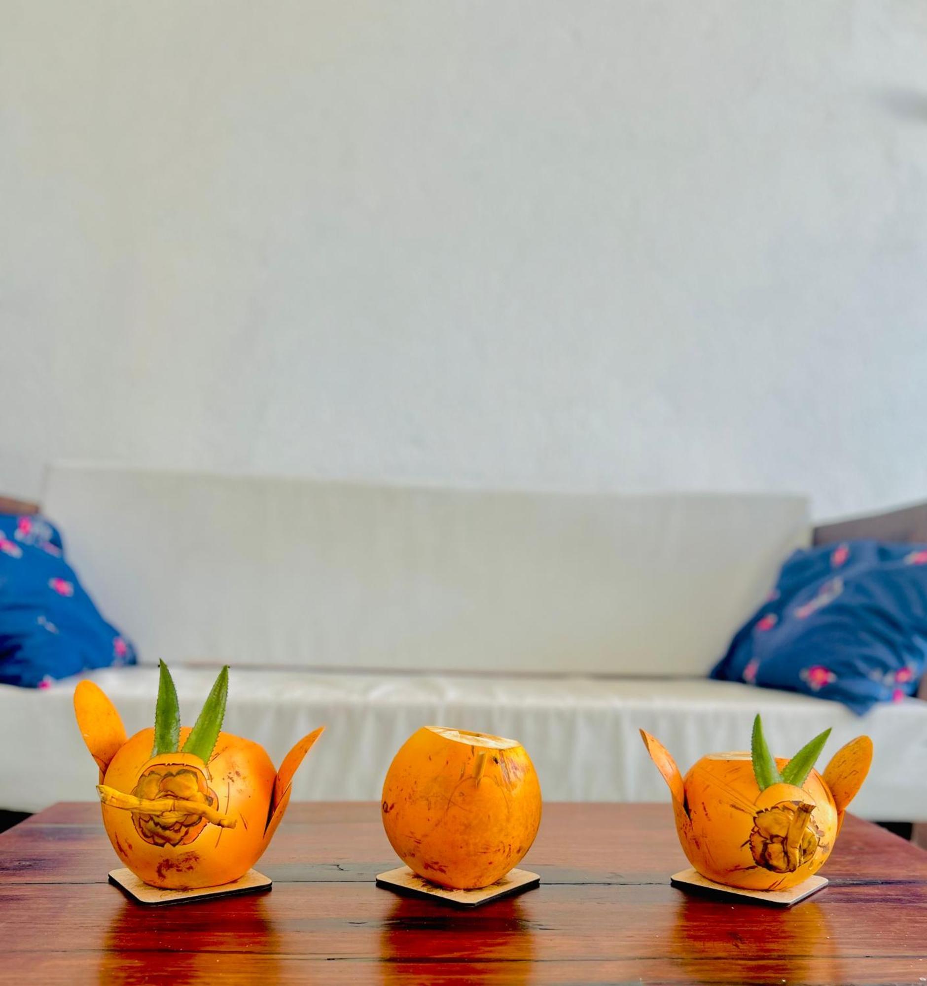 Luxury My Villa Bentota 200M Bentota Beach エクステリア 写真